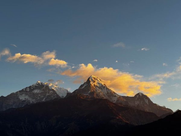 WhatsApp Image 2025-08-29 at 12.14.30