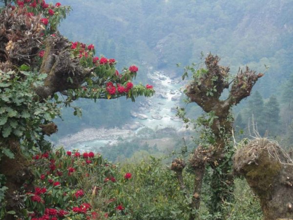 WhatsApp Image 2025-08-30 at 20.51.08