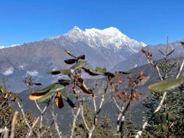 WhatsApp Image 2025-09-01 at 18.26.23