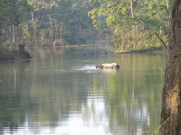 16440229202_7dbd116f65_c