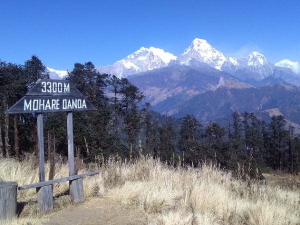 Mohare Danda Trek