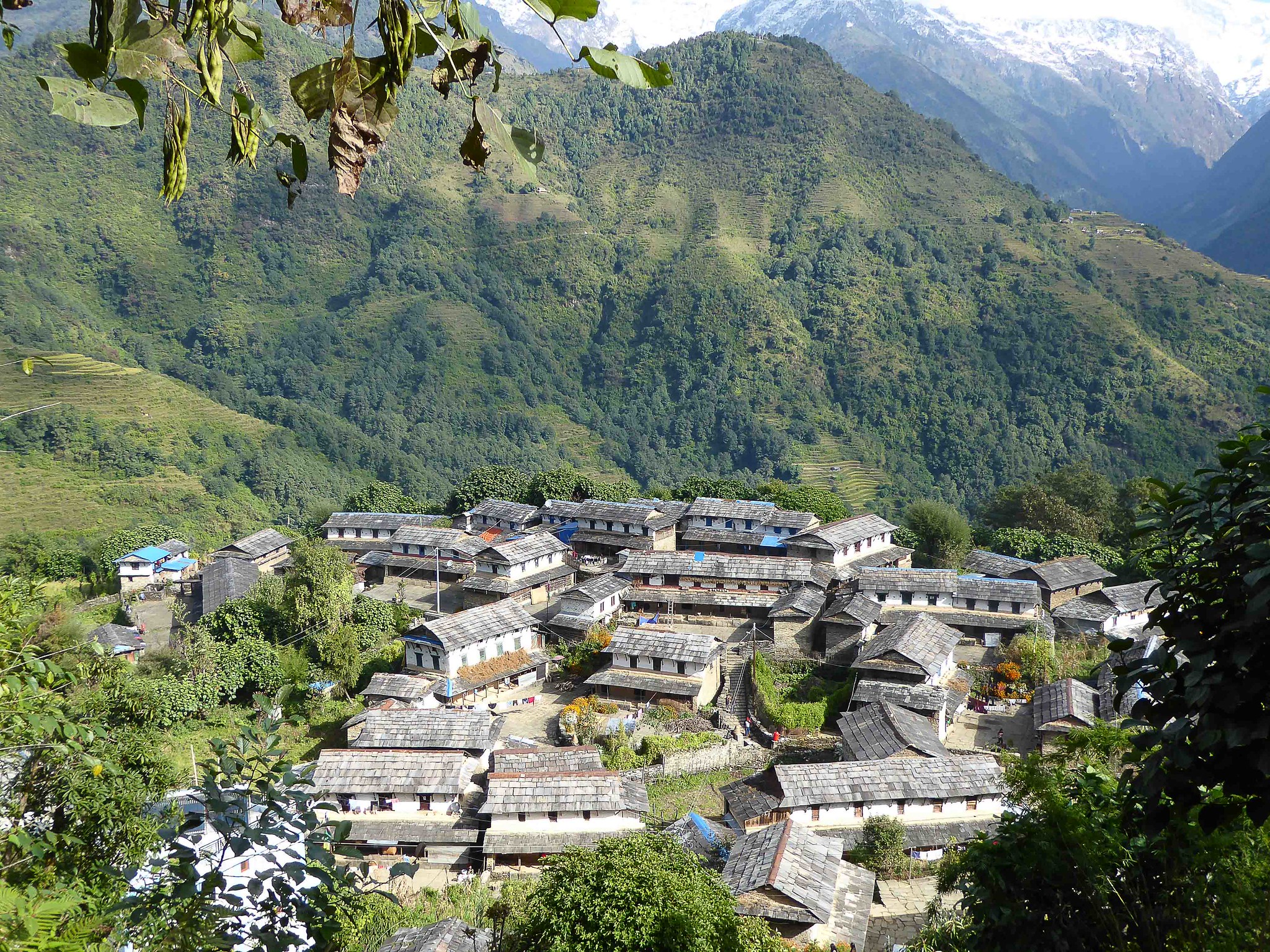 Ghandruk valley