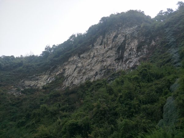 oppo_0